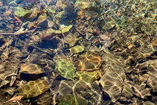 13 Grooville Rd, Livingston Manor, NY 12758 - Photo 31