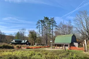 13 Grooville Rd, Livingston Manor, NY 12758 - Photo 15