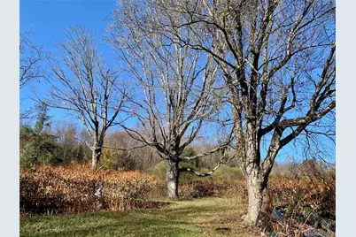 13 Grooville Road, Livingston Manor, NY 12758 - Photo 37