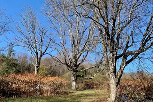 13 Grooville Rd, Livingston Manor, NY 12758 - Photo 37