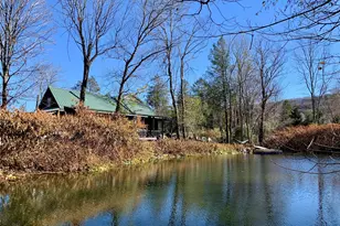 13 Grooville Rd, Livingston Manor, NY 12758 - Photo 27