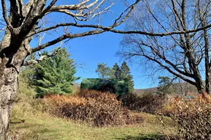 13 Grooville Rd, Livingston Manor, NY 12758 - Photo 33