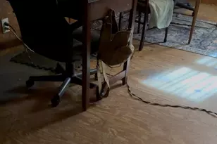 6 Lake St, White Lake, NY 12720 - Photo 19