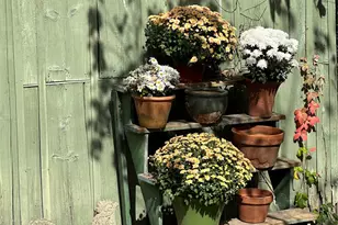 71 Buckwheat Bridge Rd, Germantown, NY 12526 - Photo 45