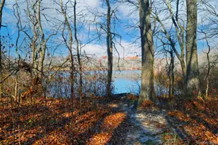 12 Darling Ave, Smithtown, NY 11787 - Photo 37