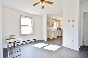 32 Meadow St, Livingston Manor, NY 12758 - Photo 7