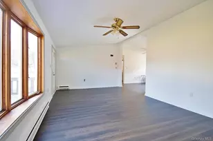 32 Meadow St, Livingston Manor, NY 12758 - Photo 5