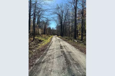 24 Mud Pond Road, Livingston Manor, NY 12758 - Photo 5