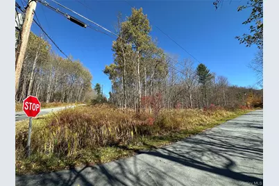 24 Mud Pond Road, Livingston Manor, NY 12758 - Photo 15