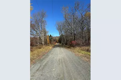 24 Mud Pond Road, Livingston Manor, NY 12758 - Photo 11