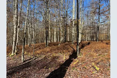 24 Mud Pond Road, Livingston Manor, NY 12758 - Photo 17