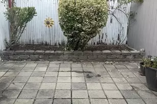 1003 Sackett Ave, Bronx, NY 10462 - Photo 3