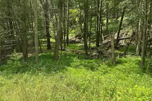 126 Yulan-Barryville Rd, Barryville, NY 12719 - Photo 7