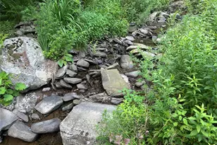 126 Yulan-Barryville Rd, Barryville, NY 12719 - Photo 5