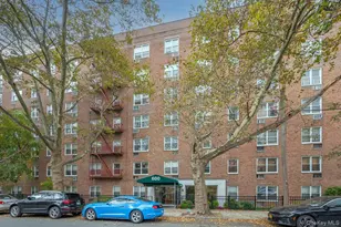 600 Locust St, Mount Vernon, NY 10552 - Photo 19