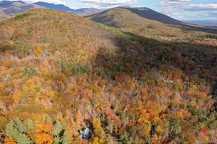 68 Cooper Hollow Rd, Bearsville, NY 12409 - Photo 29