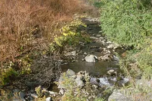 5 Cr-93, Fremont Center, NY 12736 - Photo 7