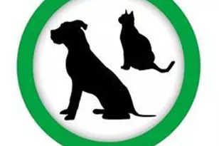 102-10 66th Rd, Forest Hills, NY 11375 - Photo 15