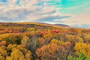 118 Marl Rd, Pine Bush, NY 12566 - Photo 5