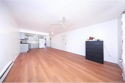 517 Milford Street, Brooklyn, NY 11208 - Photo 11