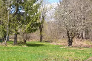 144 Bonnie Brook Rd, Roscoe, NY 12776 - Photo 25
