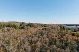 13 N Pond Dr, Parksville, NY 12768 - Photo 35