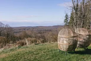 13 N Pond Dr, Parksville, NY 12768 - Photo 5