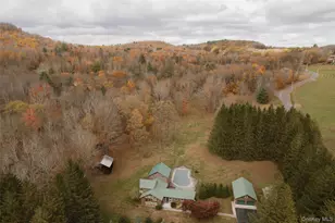 7775 State Rte 55, Neversink, NY 12765 - Photo 41