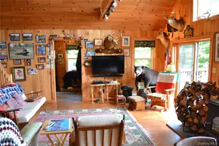 365 Via Appian Way, Roscoe, NY 12776 - Photo 17