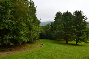 365 Via Appian Way, Roscoe, NY 12776 - Photo 13