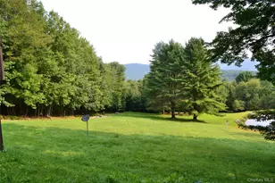 365 Via Appian Way, Roscoe, NY 12776 - Photo 15