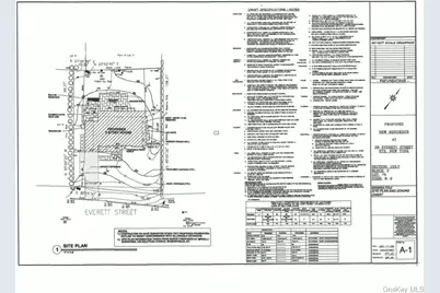 28 Everett Street, Rye, NY 10580 - Photo 5