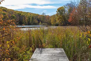 29 Drake Rd, Clinton Corners, NY 12514 - Photo 35