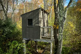 29 Drake Rd, Clinton Corners, NY 12514 - Photo 37