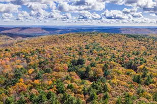 44 Florio Earl Rd, Wurtsboro, NY 12790 - Photo 39