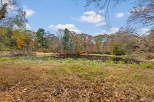 110 Oliver Rd, Bedford, NY 10506 - Photo 29