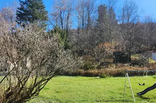 159 Main St, Livingston Manor, NY 12758 - Photo 29