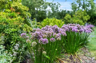 45 Huckleberry Ln, East Hampton, NY 11937 - Photo 19