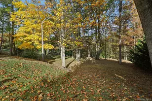 46 Cara Dr, Pearl River, NY 10965 - Photo 31