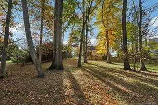 46 Cara Dr, Pearl River, NY 10965 - Photo 29