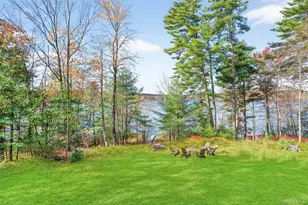 316 Lakeview Dr Rd, Highland Lake, NY 12743 - Photo 45