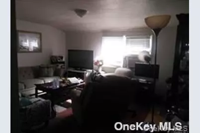 247 Oakley Avenue, Elmont, NY 11003 - Photo 3