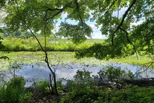 11 Beacham Rd, Rhinebeck, NY 12572 - Photo 27