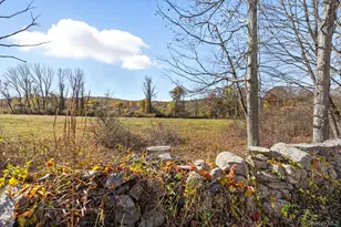 40 Cushman Rd, Patterson, NY 12563 - Photo 39