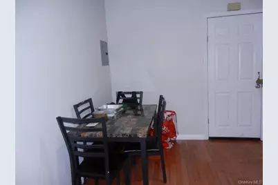 203 Essex Street, Brooklyn, NY 11208 - Photo 11