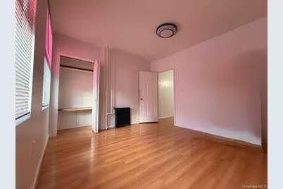 49 Buffalo Avenue, Brooklyn, NY 11233 - Photo 3