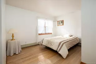 6 Nelson St, Elmont, NY 11003 - Photo 15