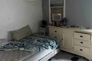 555 Hemlock St, Brooklyn, NY 11208 - Photo 7