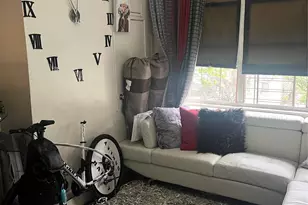 555 Hemlock St, Brooklyn, NY 11208 - Photo 19