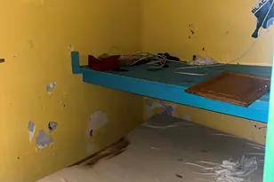 555 Hemlock St, Brooklyn, NY 11208 - Photo 5